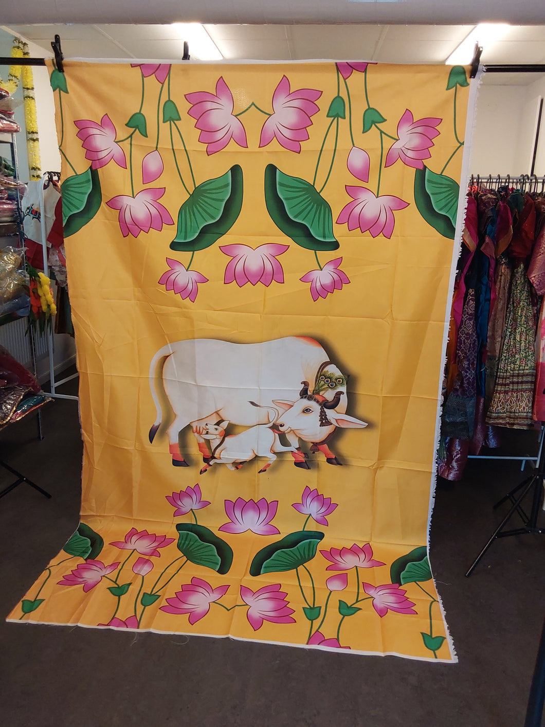 Backdrop