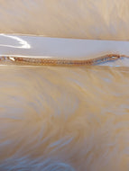Rakhi