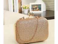 Trendy Women's Golden Resin Clutch